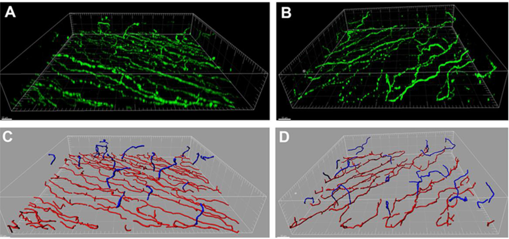 Figure 4: