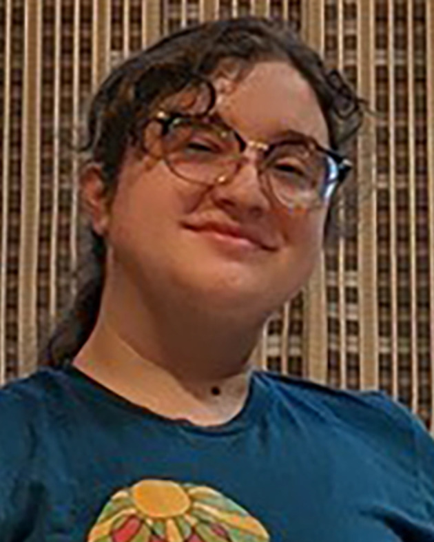 graphic file with name d2ra90082c-u5.jpg