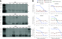 FIG 3