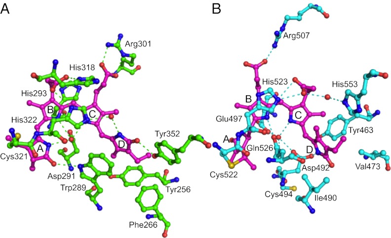 Fig. 3.