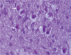 Figure 7