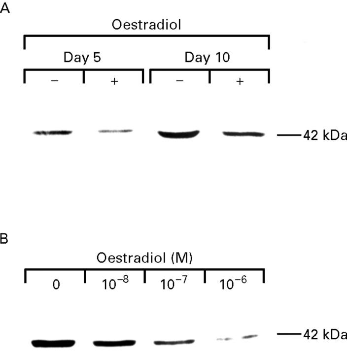 Figure 9 