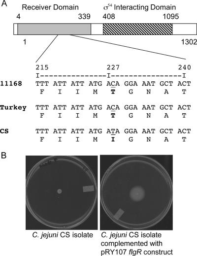 FIG. 5.