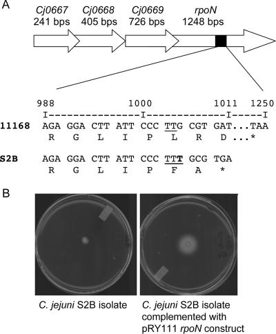 FIG. 8.