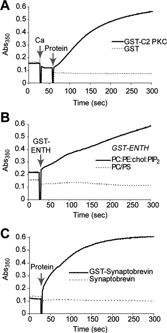 Fig. 6