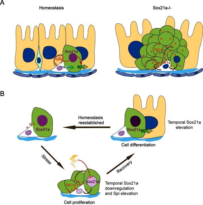 Figure 7.