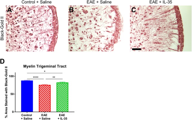 Figure 13.