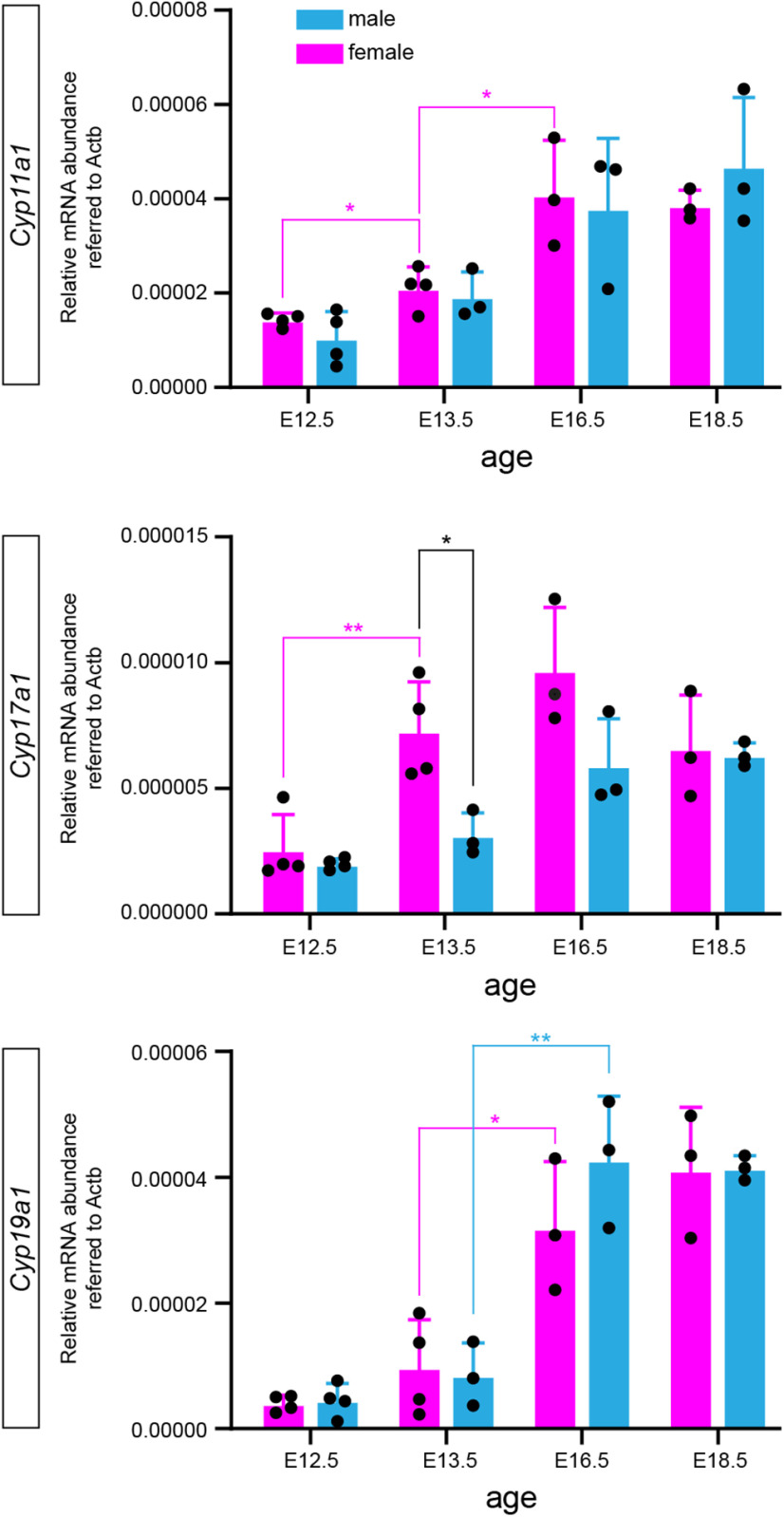 Figure 3.