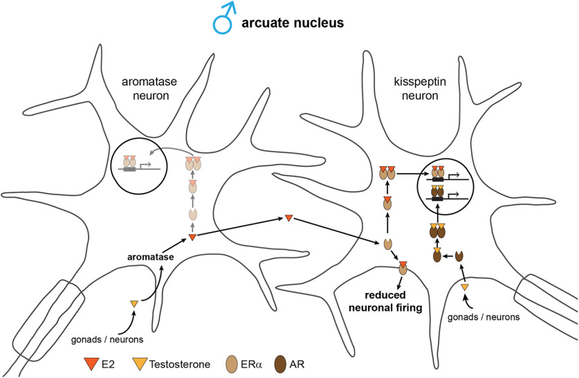 Figure 9.