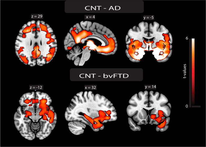 Figure 2—figure supplement 1.