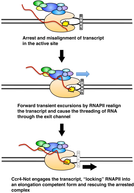 Figure 7.