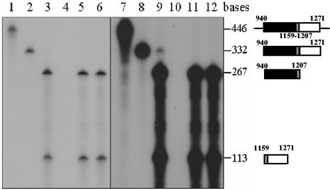 FIG. 6.