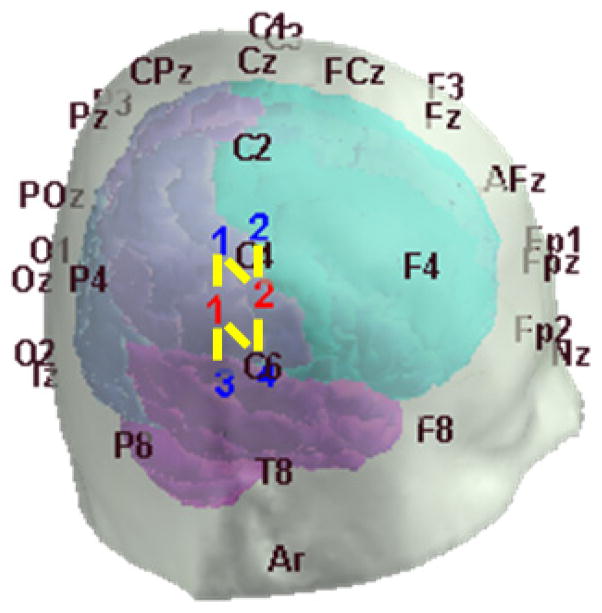 Fig. 1