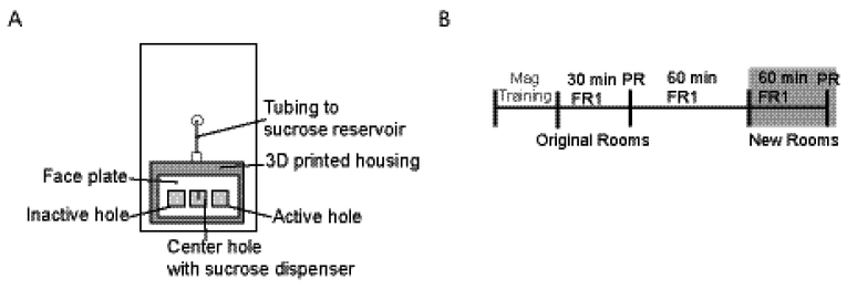 Figure 1: