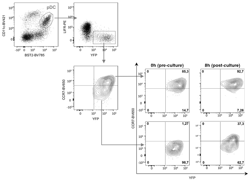 Extended Data Fig. 6