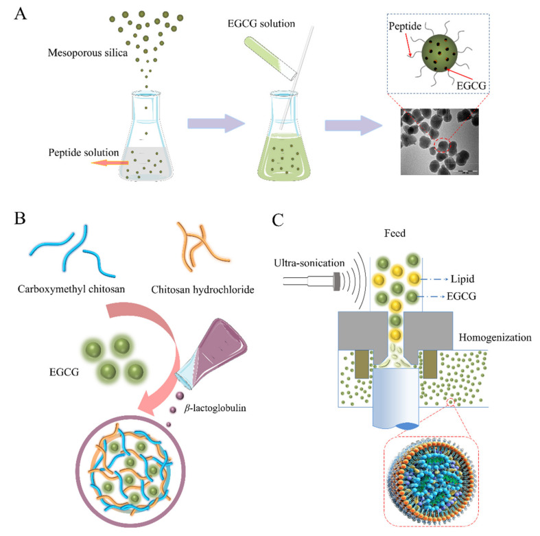 Figure 4