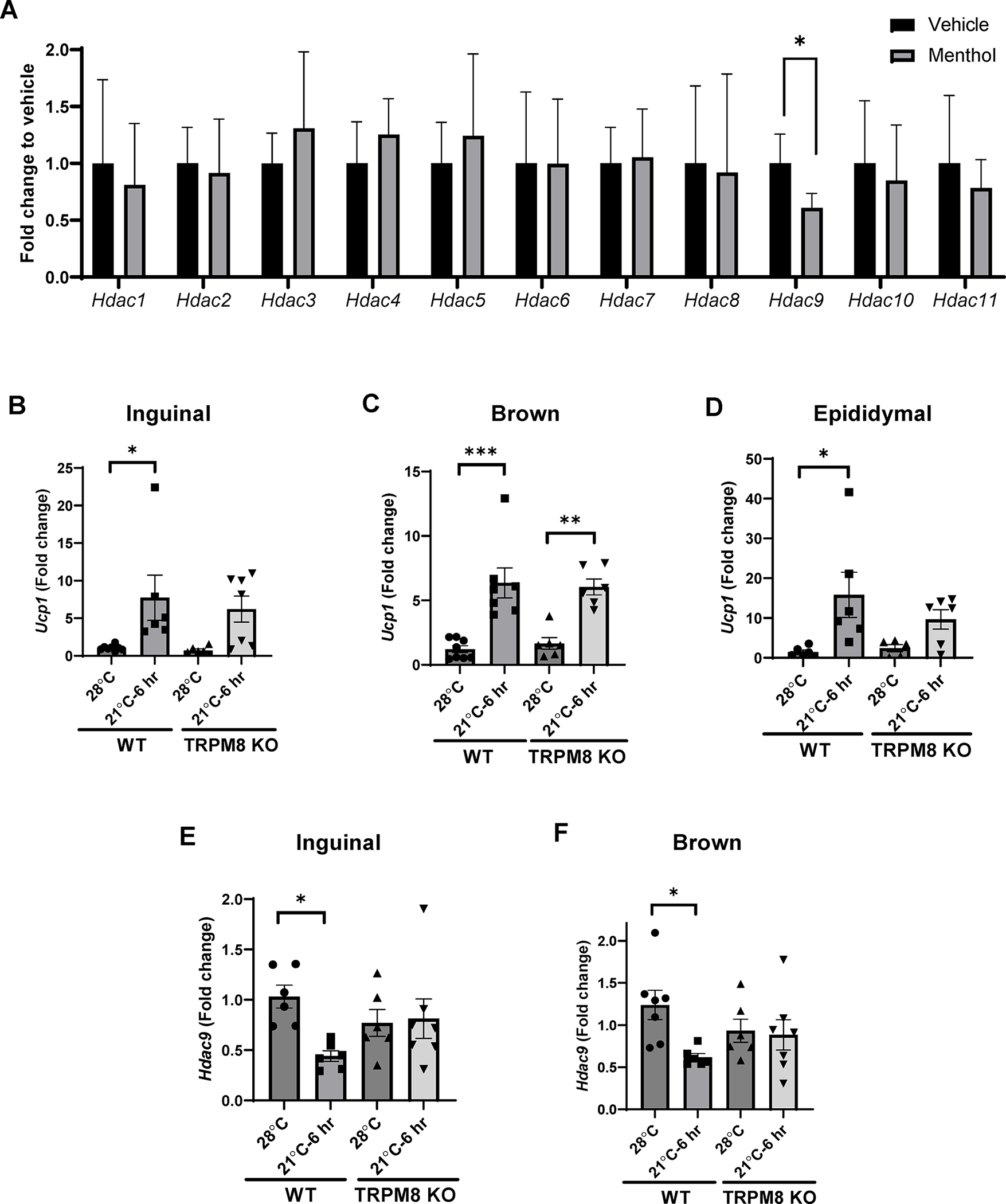 Figure 6: