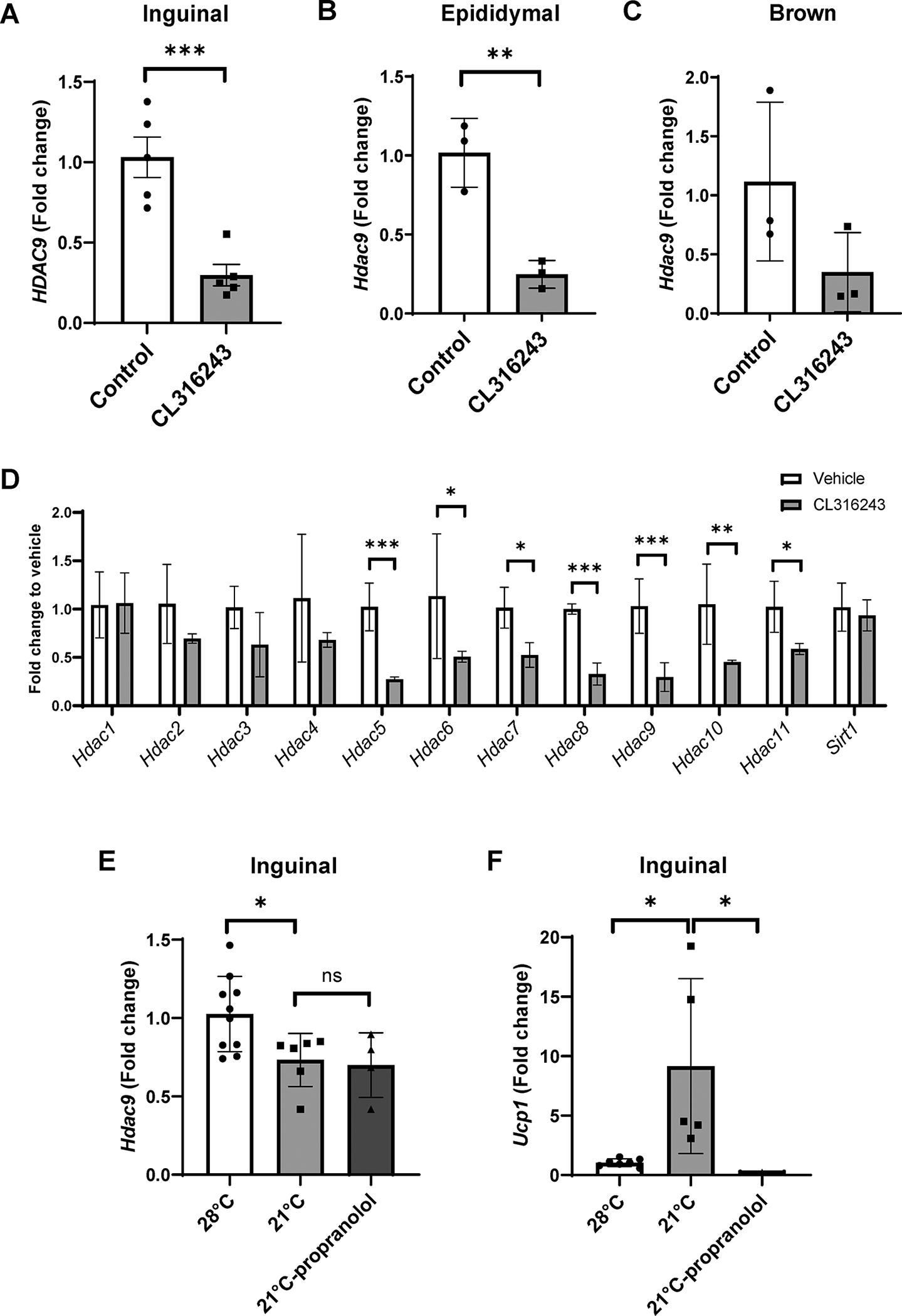 Figure 5: