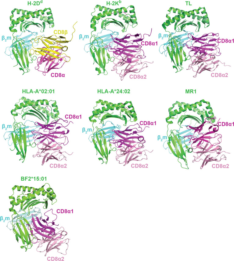 Figure 4