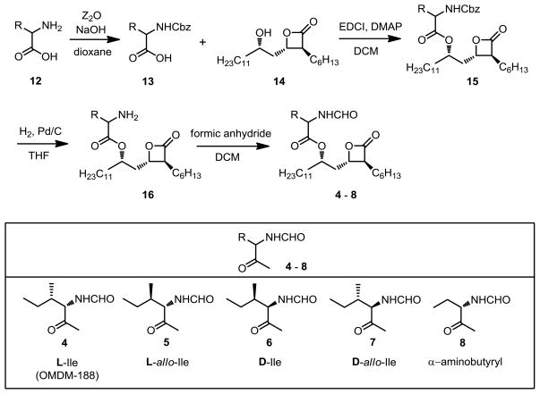 Scheme 1