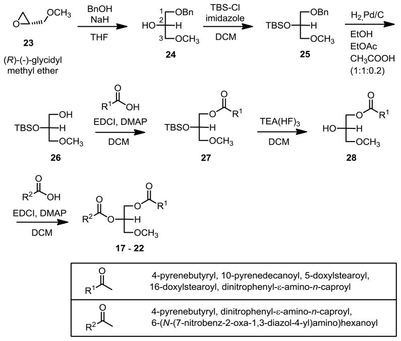 Scheme 2