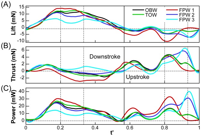 Figure 5