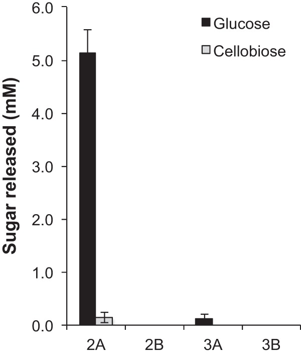 FIG 1 