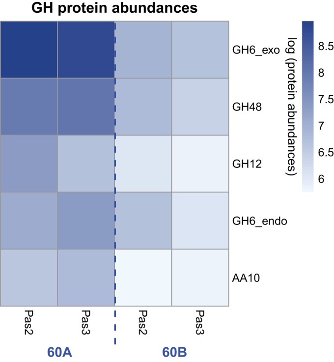 FIG 3 