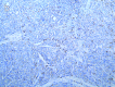 Fig. 2b.