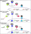Fig 10