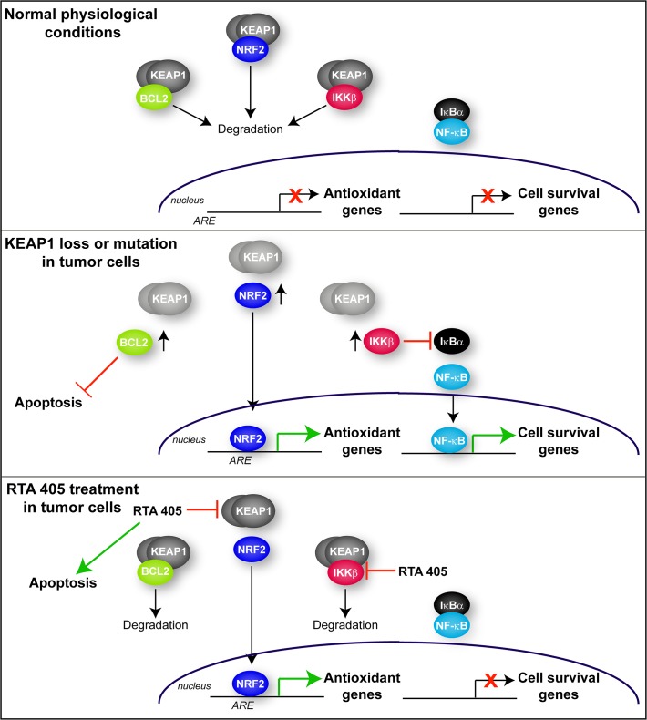 Fig 10