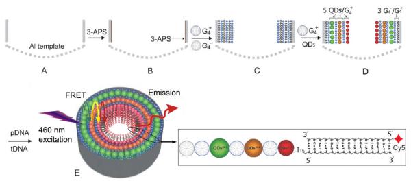 FIGURE 12