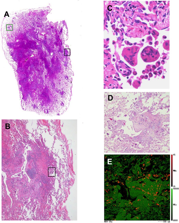 Figure 2