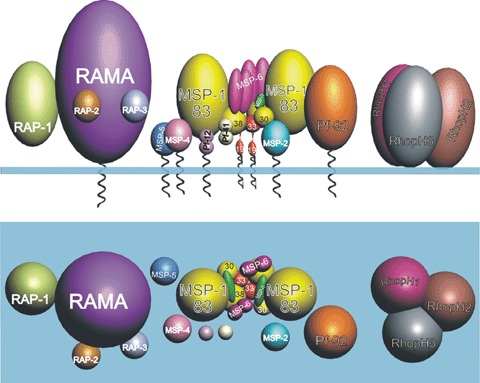 Fig 2