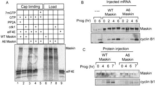 FIG. 5.