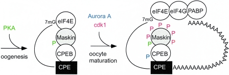 FIG. 8.