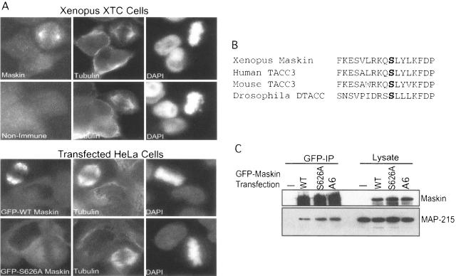 FIG. 7.