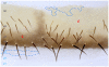 Fig. 3.