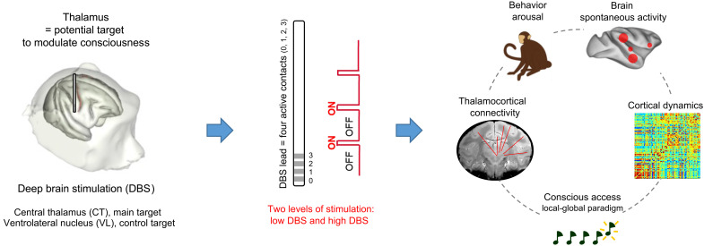 Fig. 1.