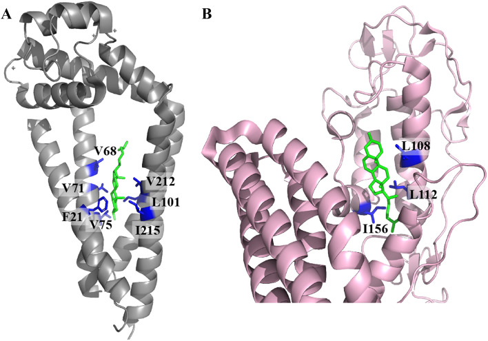 Fig. 3