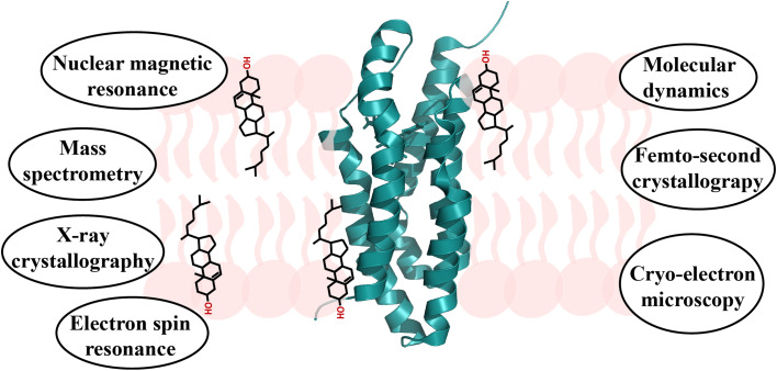 Fig. 1