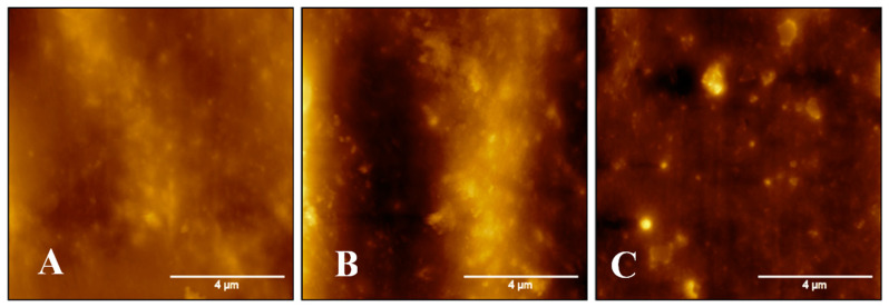 Figure 13