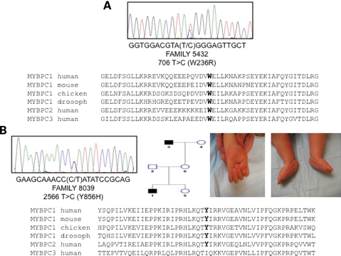 Figure 3.