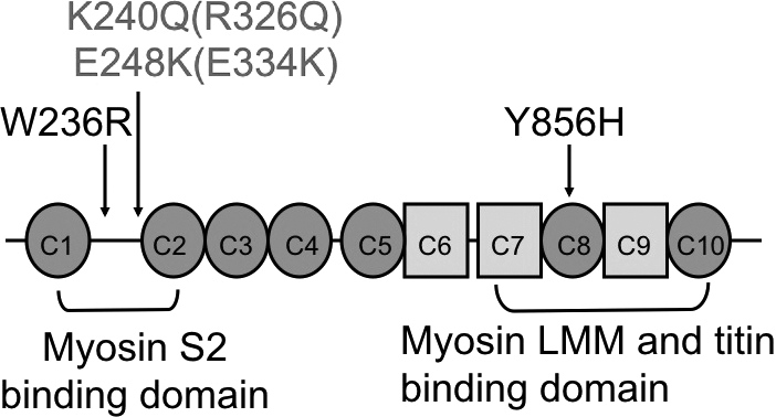 Figure 4.