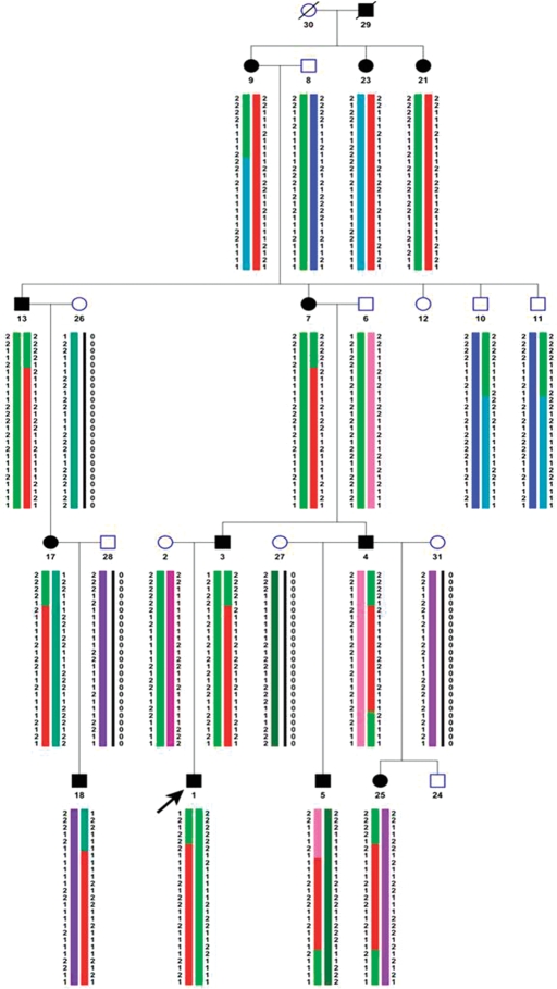 Figure 2.