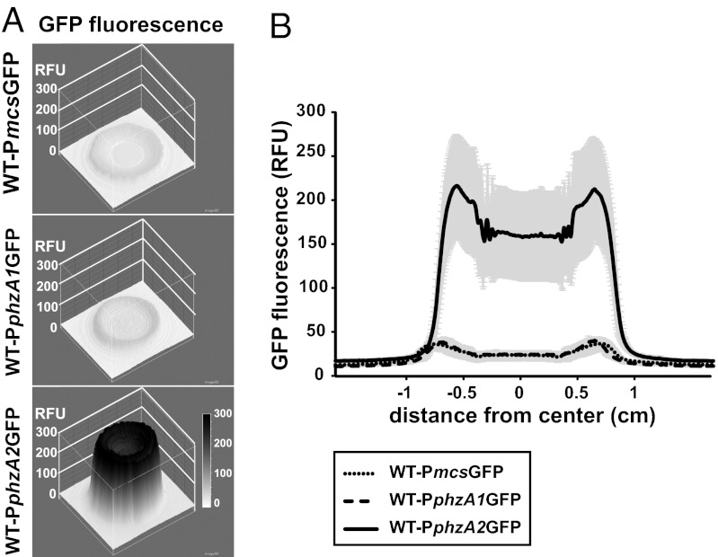 Fig. 4.