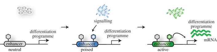 Figure 3.