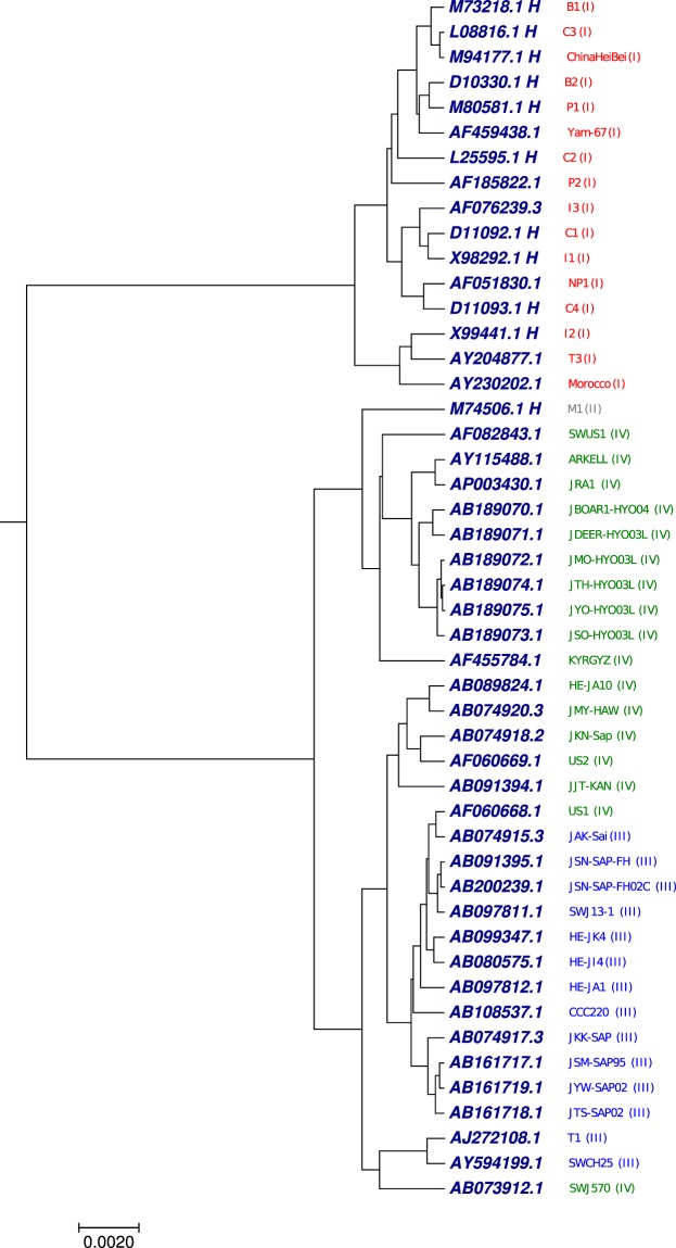 Figure 7