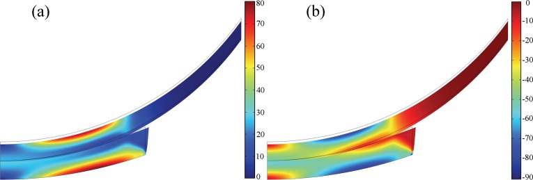 Fig. 10