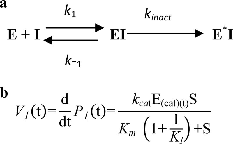 SCHEME 1.